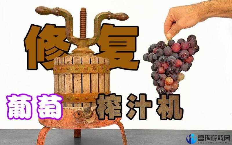 葡萄放洞榨汁新方式