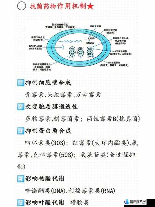 药效 1V2HPO：独特的药物作用机制探秘