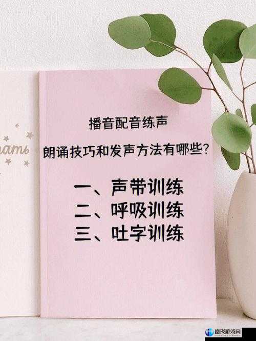 舌战玉门的技巧和方法：辩论技巧与策略