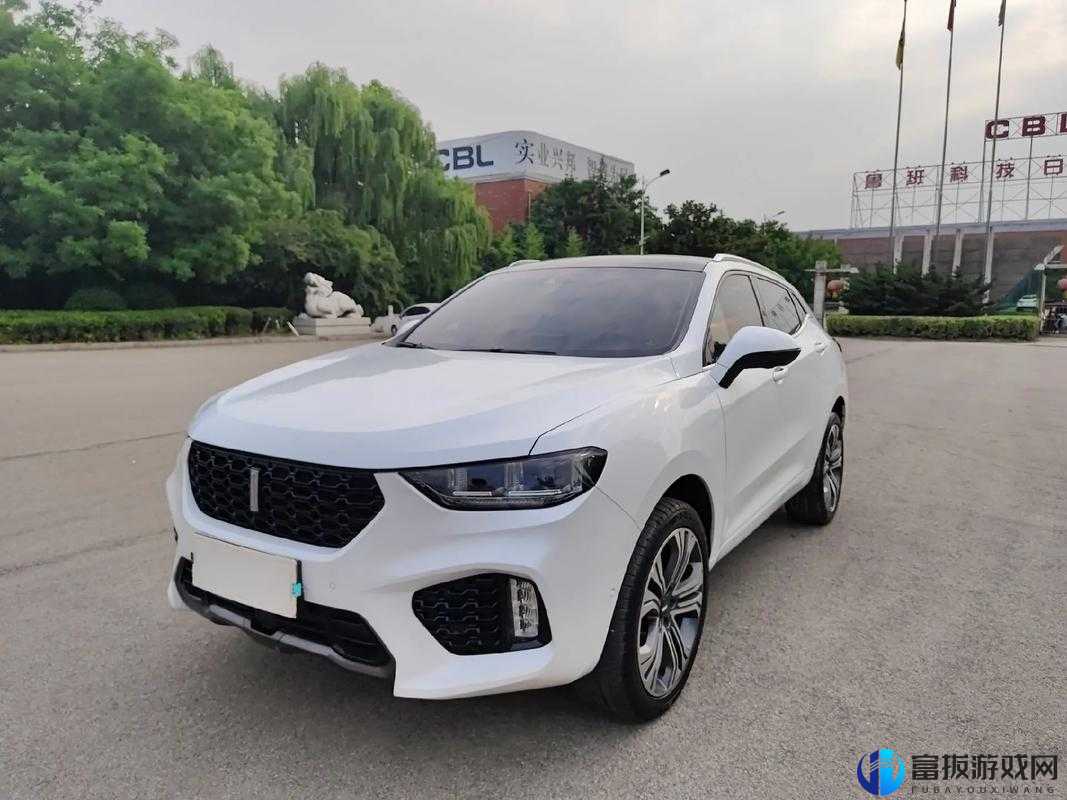 Wey VV5 国产 SUV，时尚动感之选