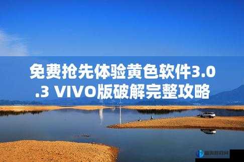 3.0.3 免费 vivo 版破解大全：超越想象的游戏体验