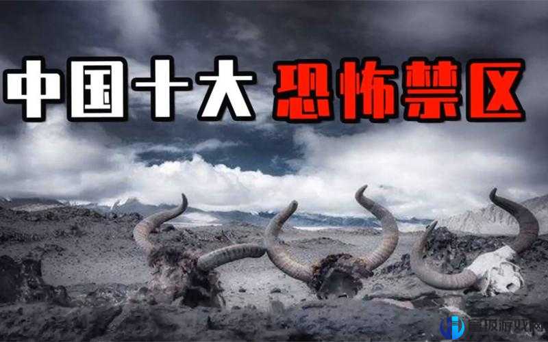 51 无人区码一码二码：探险者的禁地