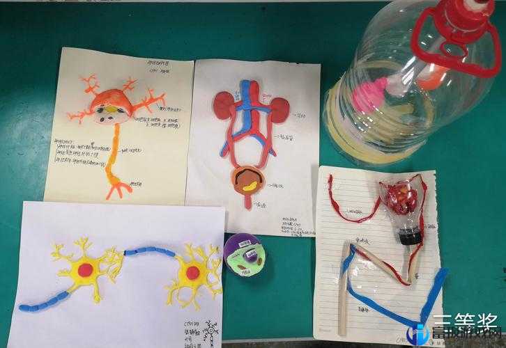 我成了生物课的教具篇1：独特的经历